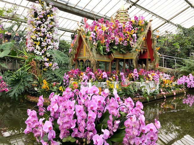 Kew Gardens Orchid Festival 2018