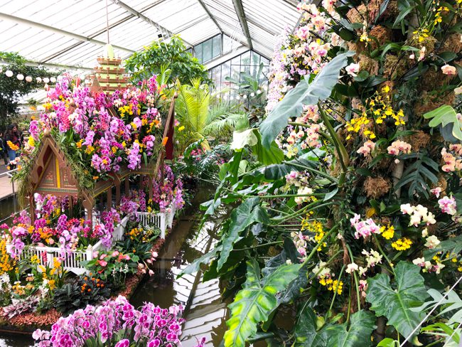 Kew Gardens Orchid Festival London