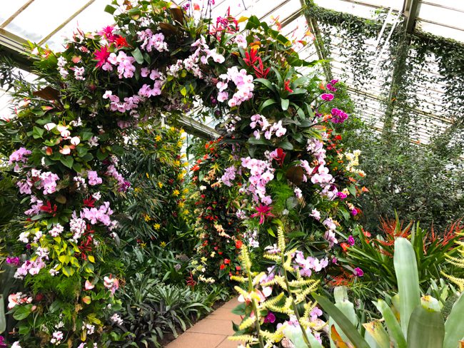 Kew Gardens Orchid Festival 2018