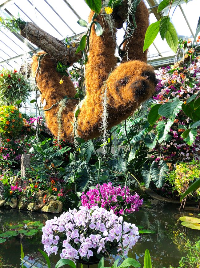 Kew Gardens Orchid Festival