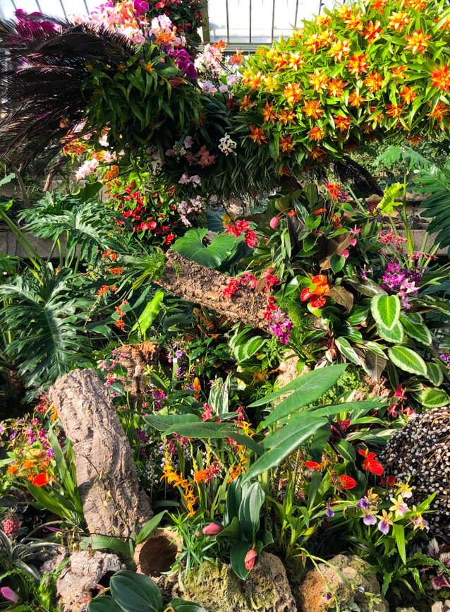 Kew Gardens Orchid Festival 2019