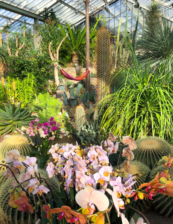 Kew Gardens Orchid Festival 2019