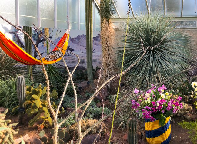 Kew Gardens Orchid Festival 2019 Colombia
