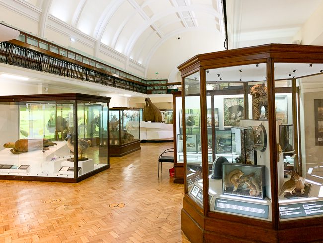Horniman Museum London