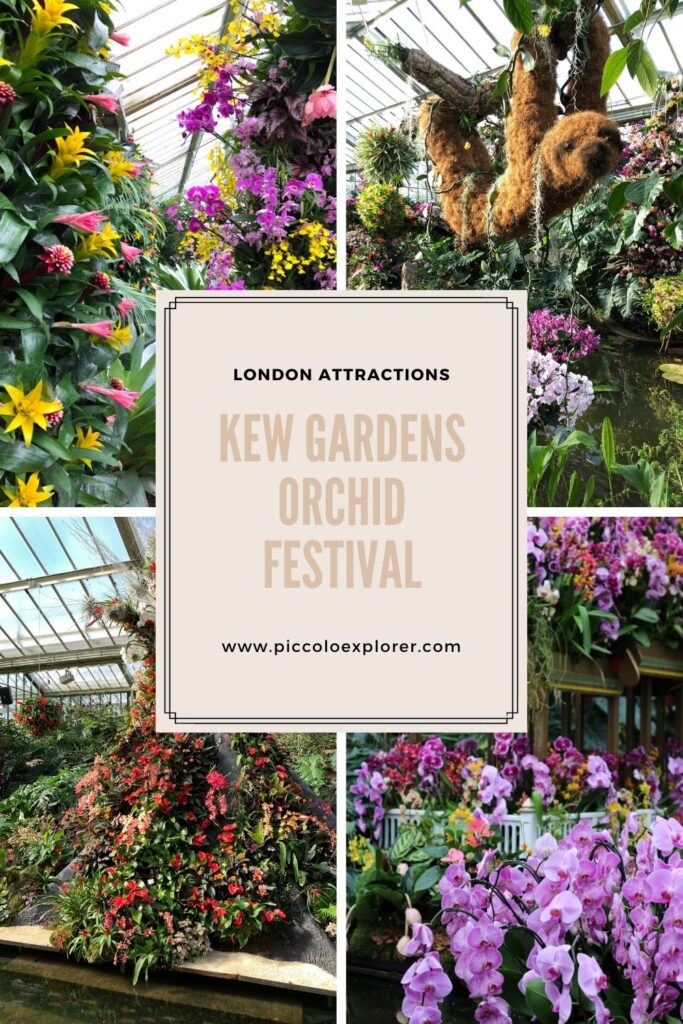 Pinterest Kew Gardens London Orchid Festival