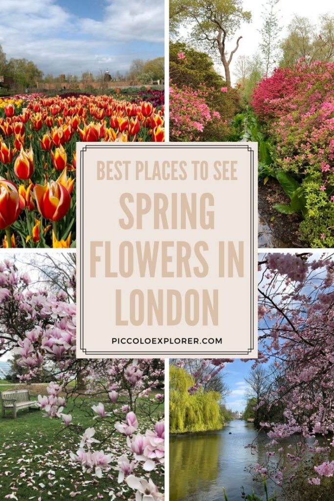 Best Places to See Spring Flowers in London
