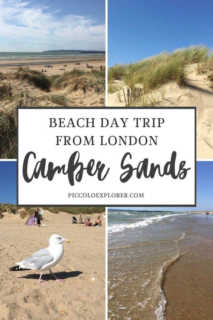 Day trip to Camber Sands East Sussex