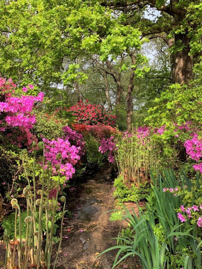 Isabella Park streams