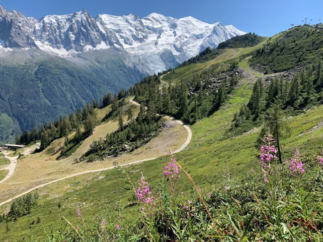 Chamonix in Summer