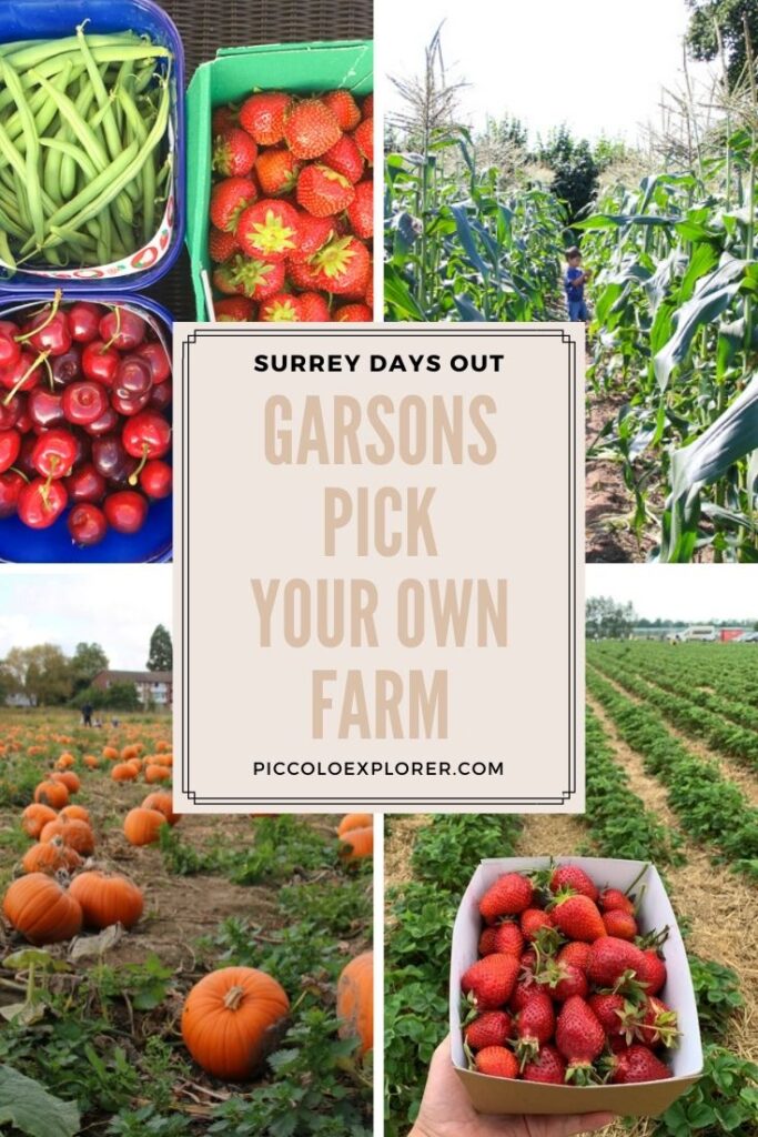 Garsons Pick Your Own Farm Surrey
