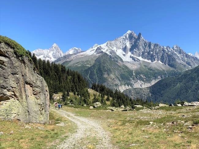 Charlanon meadow Chamonix