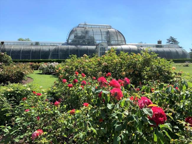 Palm House Rose Garden Kew Gardens London