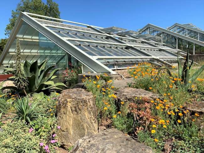 Visiting Kew Gardens in Summer