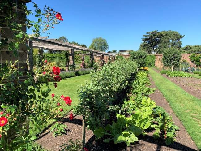 Kitchen Garden at Kew Gardens