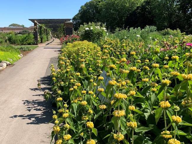 Agius Evolution Garden Kew Gardens