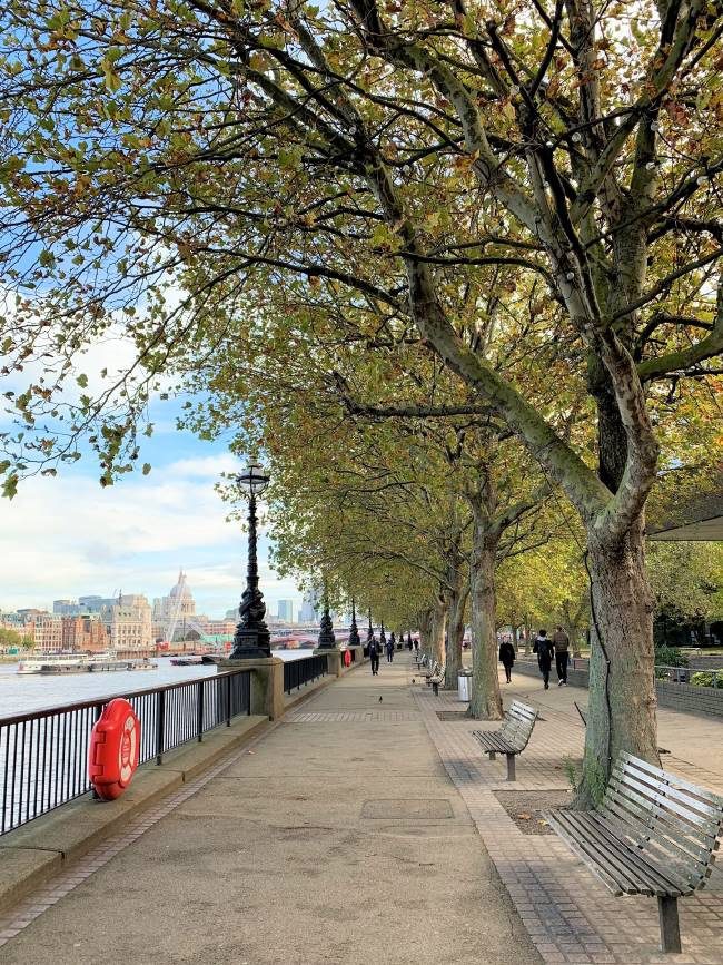 Autumn in London South Bank