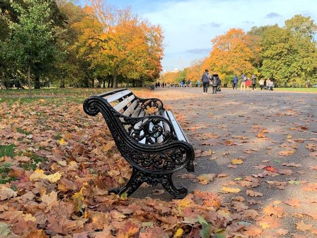 Best Places to see Autumn in London