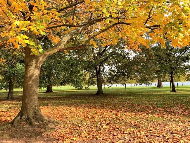 Autumn in Kensington Gardens London