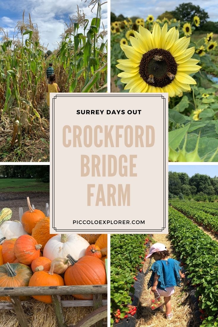 Crockford Bridge Farm Surrey