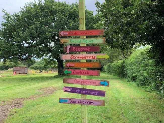 Crockford Bridge Pick Your Own Farm Surrey