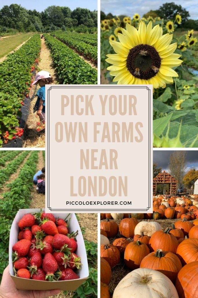 Pick Your Own Farms near London