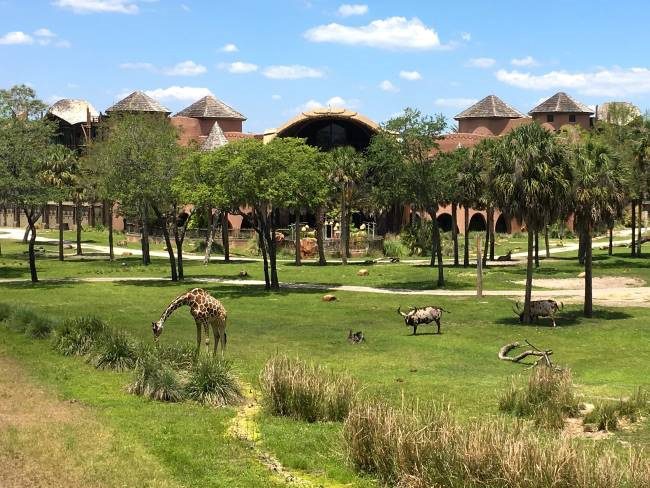 Disney Animal Kingdom Lodge Review - Walt Disney World Resort Orlando