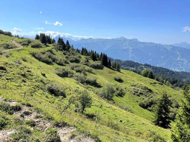 Hiking in the Alps at La Bourgeoise near Morzine