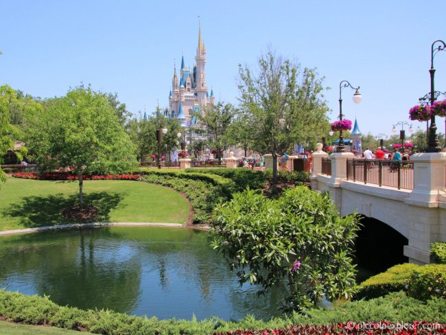 Magic Kingdom with toddlers