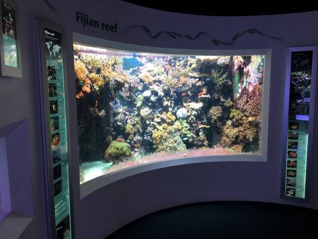 Aquarium at Horniman Museum