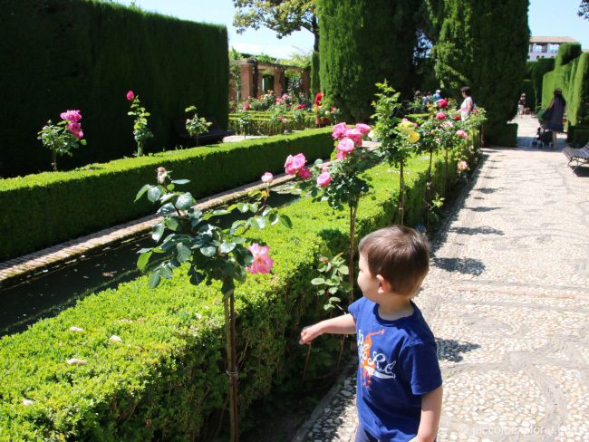 Generalife Gardens at Alhambra