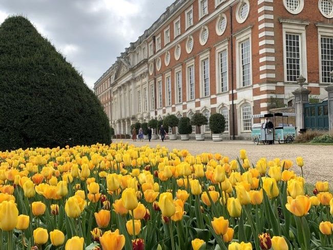 Spring 2023 Hampton Court Palace Tulip Festival