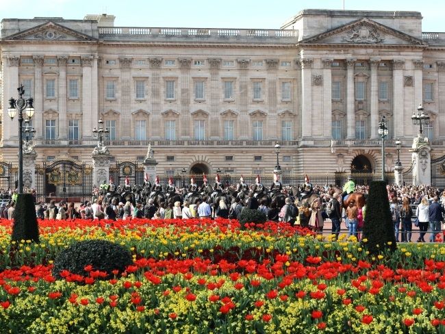 Spring in London Buckingham Palace Tulips