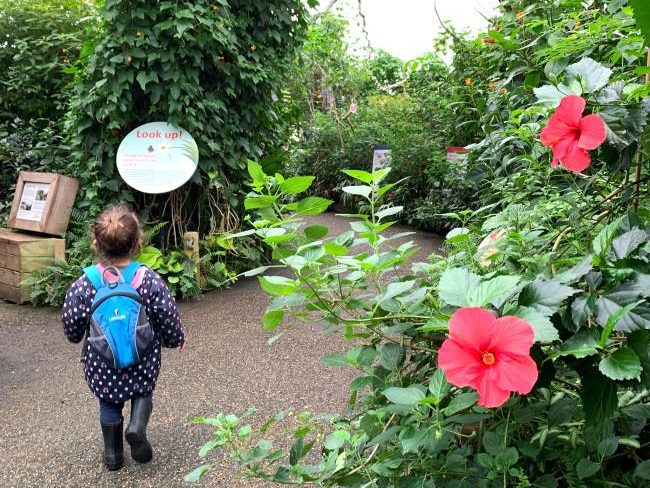 Butterfly Garden London Zoo with kids