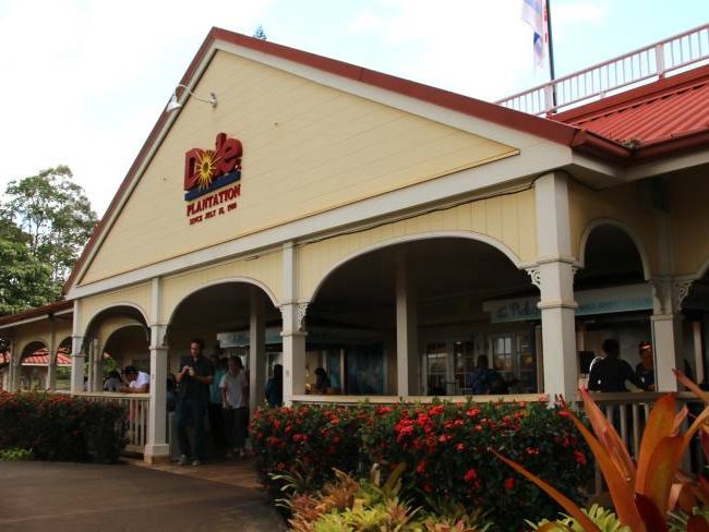 Dole Plantation Oahu with Kids