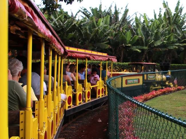 Dole Plantation Oahu