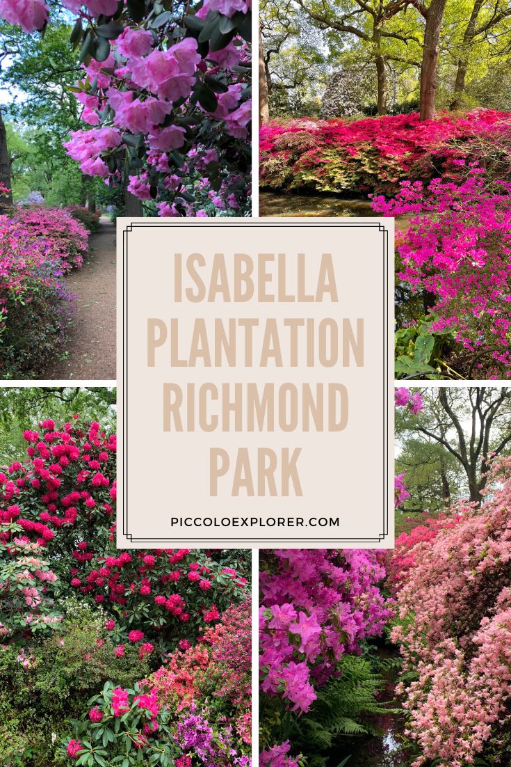 Isabella Plantation Richmond Park - Spring in London