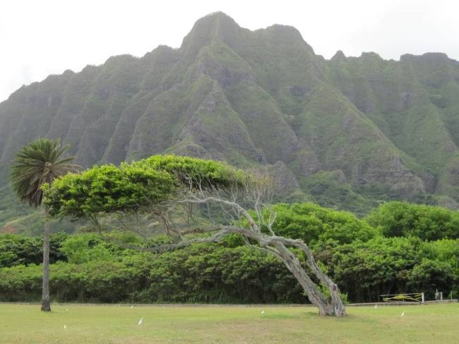 Kualoa Ranch Oahu with Kids