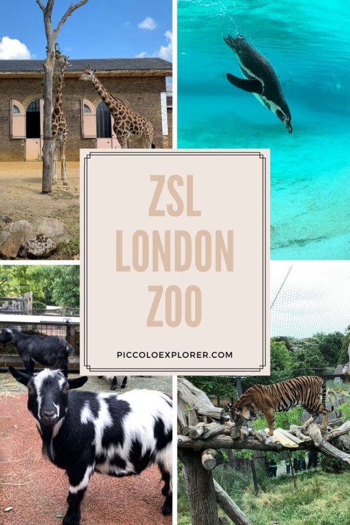 London Zoo day out with kids