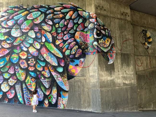 Murals by Louis Masai at London Zoo