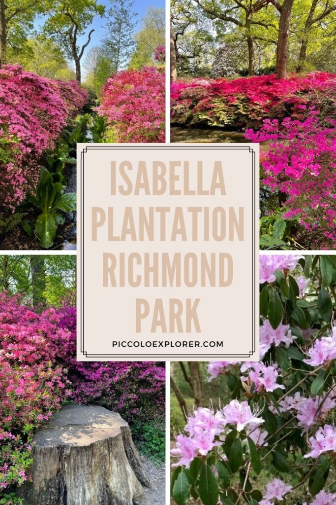 Spring at Isabella Plantation Richmond Park London