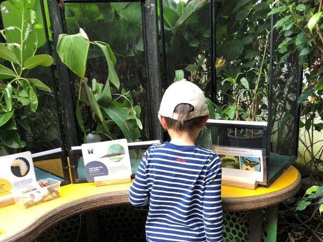 What to do with kids at London Zoo