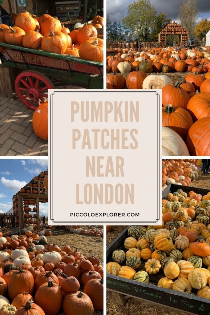 Pumpkin Patches near London