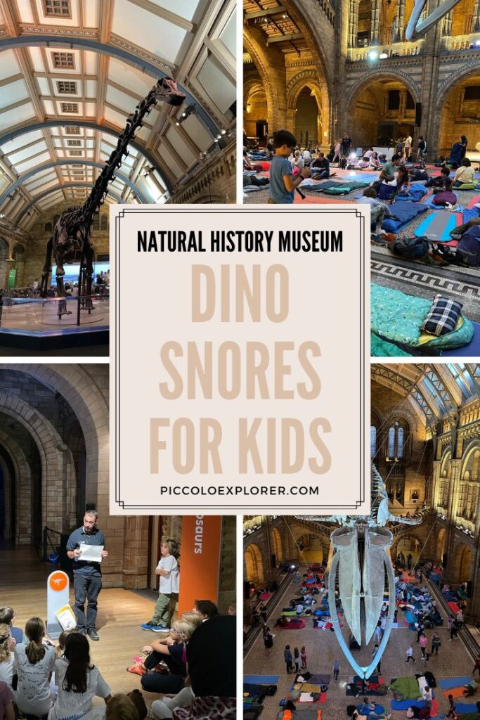 Dino Snores for Kids Natural History Museum