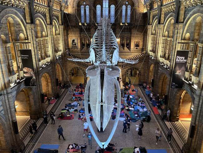 Natural History Museum London Review Infoupdate