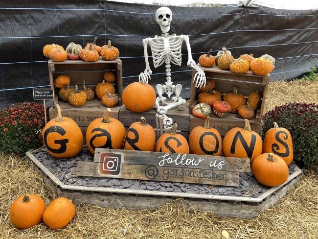 Garsons Farm Pumpkin Parade