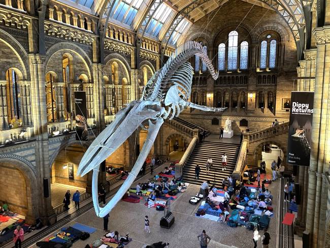 Dino Snores for Kids sleepover at NHM London