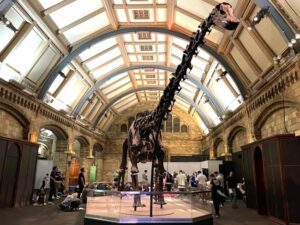 Dino Snores for Kids at Natural History Museum London Review