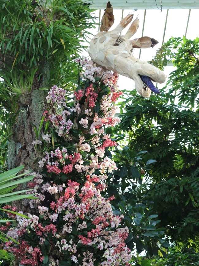 Kew Gardens Orchids Cameroon giraffe sculpture