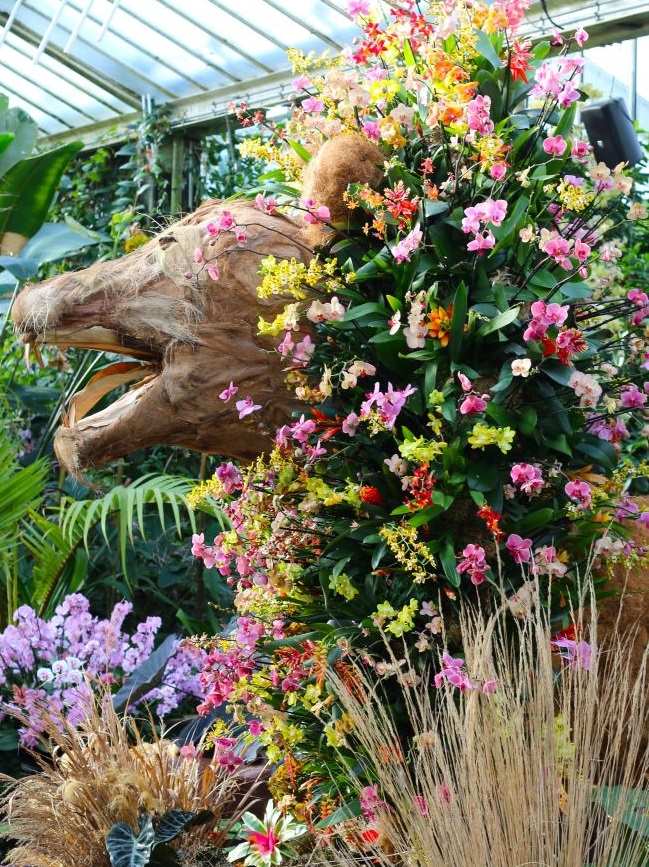 Lion Sculpture Cameroon Orchids 2023