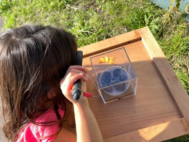 Family activities at London Wetland Centre 